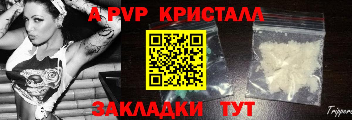 A PVP СК КРИС Ростов-на-Дону