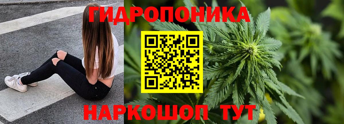 Бошки марихуана MAZAR Ростов-на-Дону
